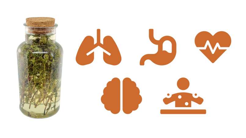 Macerat tymianku z miodem